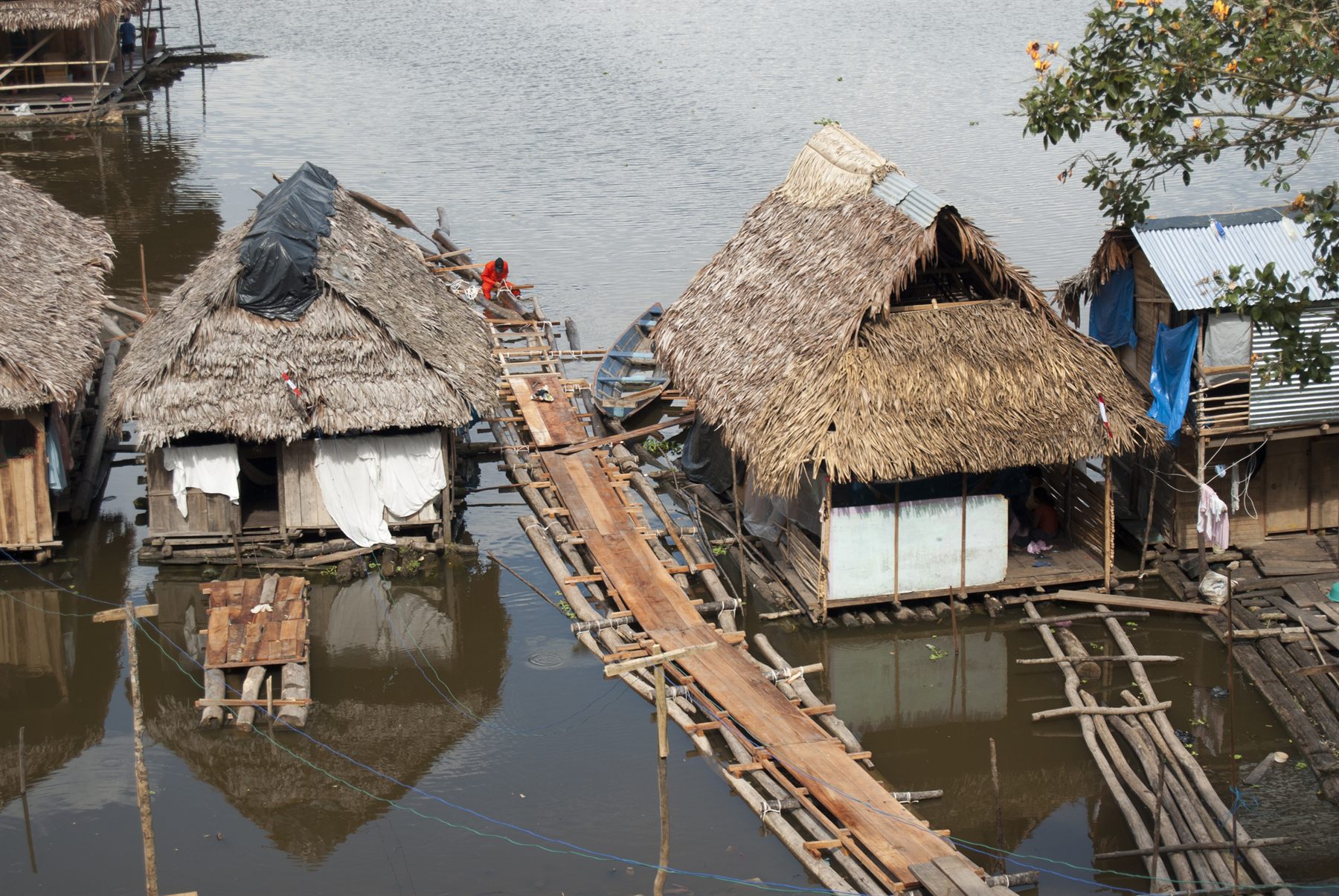 Thatched stilt houses and a wooden walkway over the water on the Amazon
